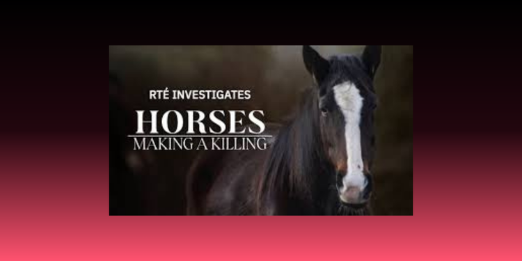 RTÉ Investigates Breaking Irish Equestrians Hearts