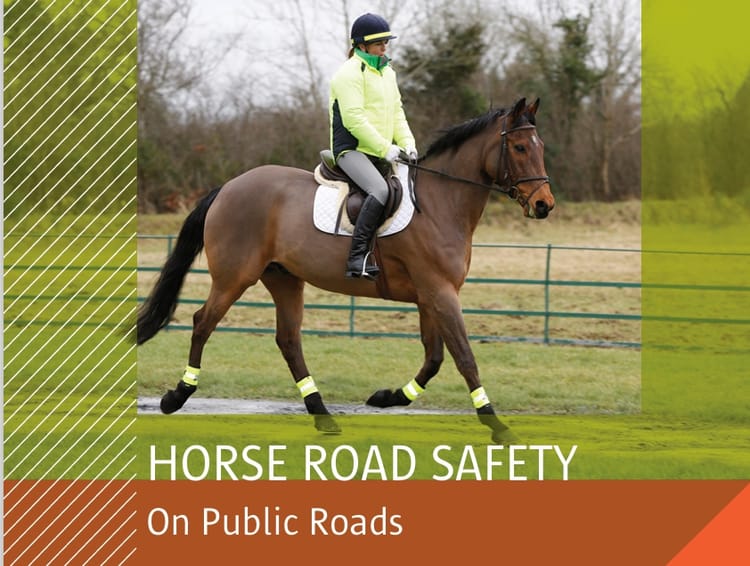 Horse and Rider Road Safety Under Discussion: An Urgent Call for Awareness