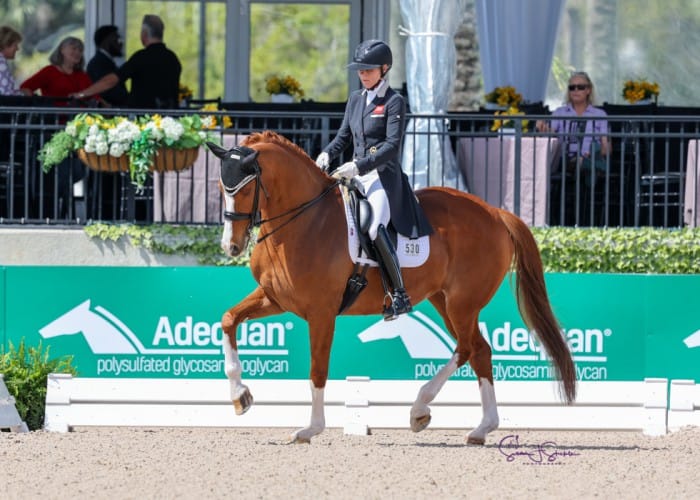 Women Dominate the CDI3* FEI Grand Prix at AGDF