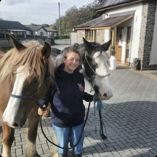 Hitch In Farm Working Horses. Embracing True Horse Power.