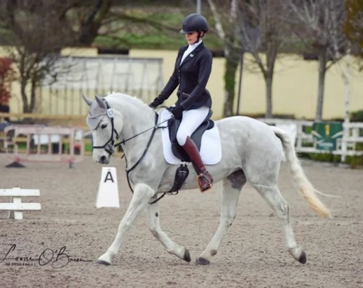 An International Dressage Debut Dawns...