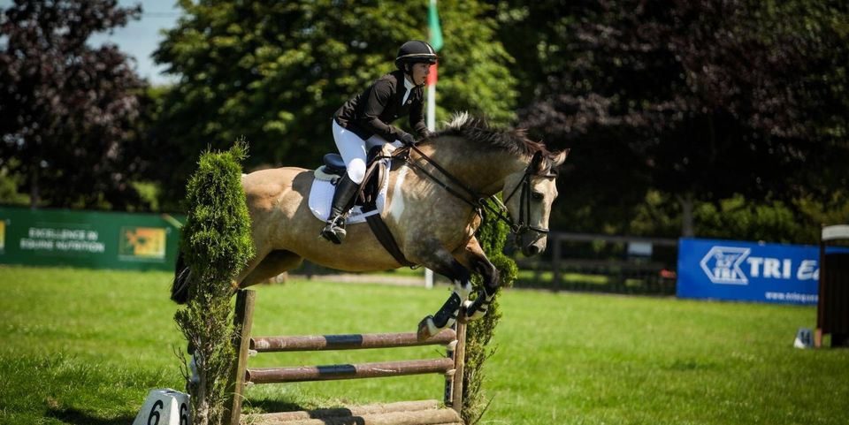 jumping horse with tendon boots