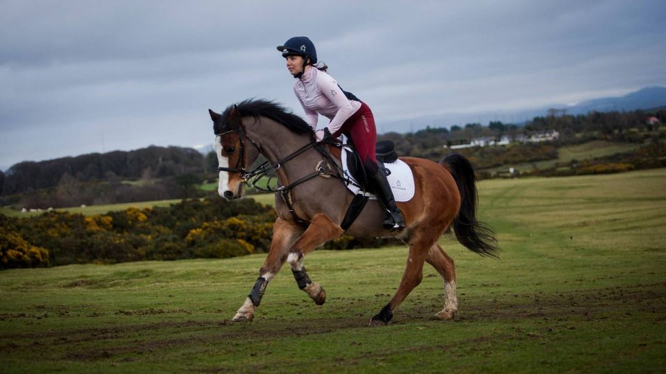 The Great Garlic Debate: Is it Good for Horses?