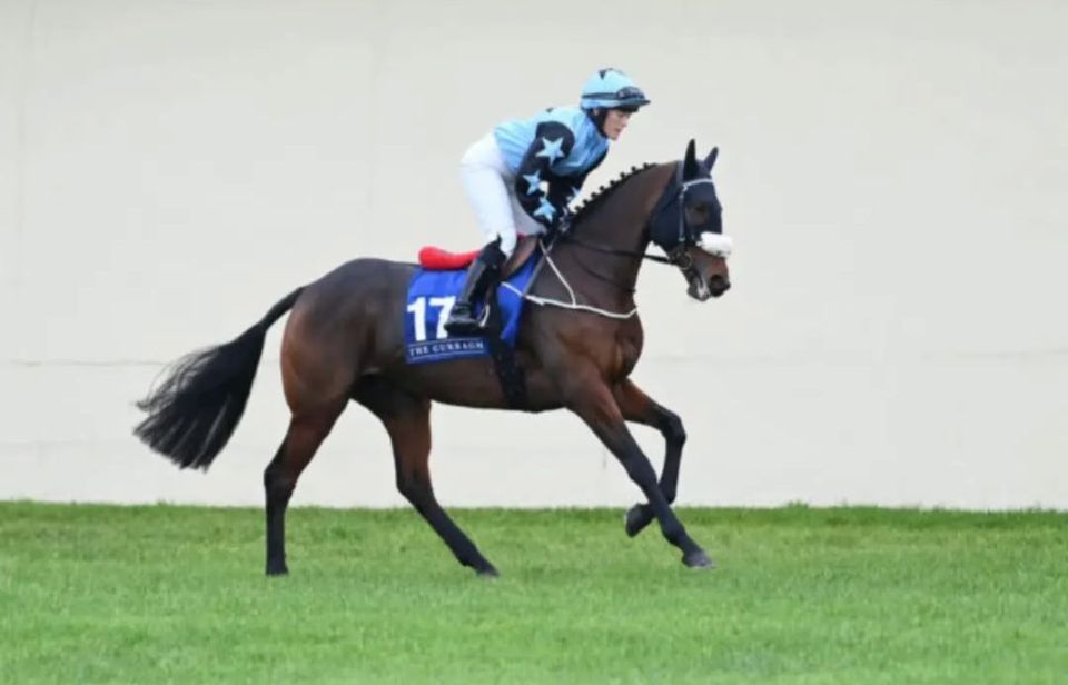 Katie takes on the Curragh