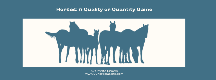 Horses: A Quality or Quantity Game